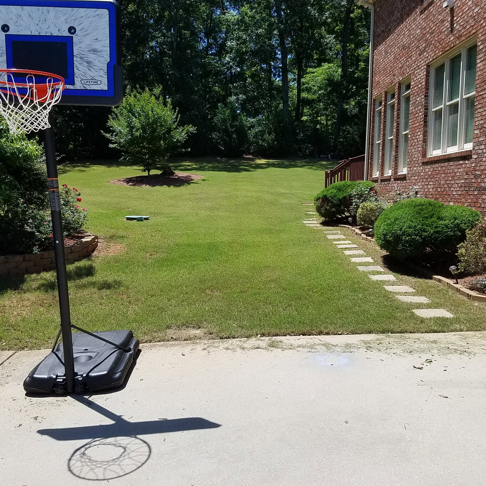 Large maintained backyard lawn