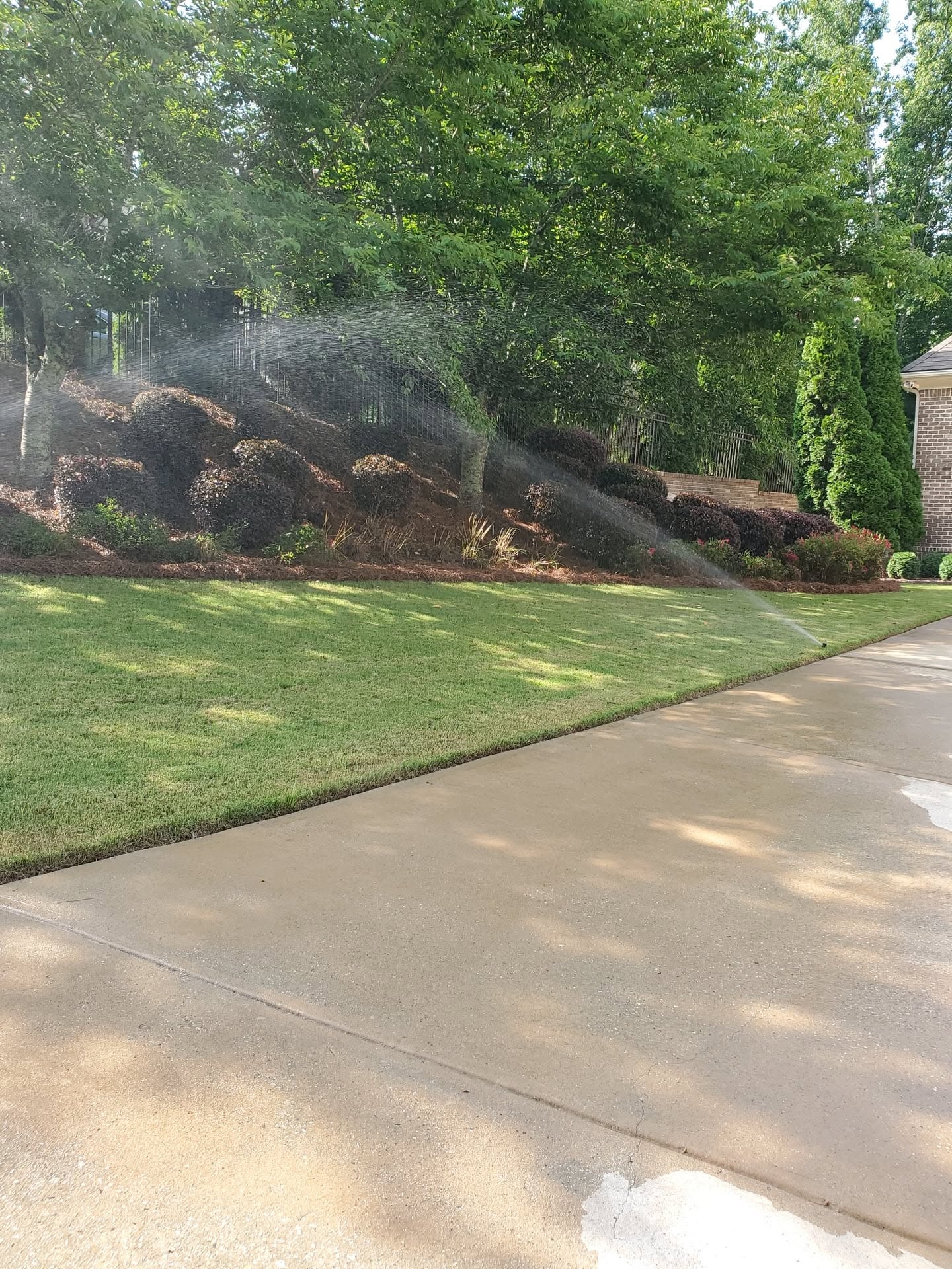 Lawn and shrub landscape with irrigation