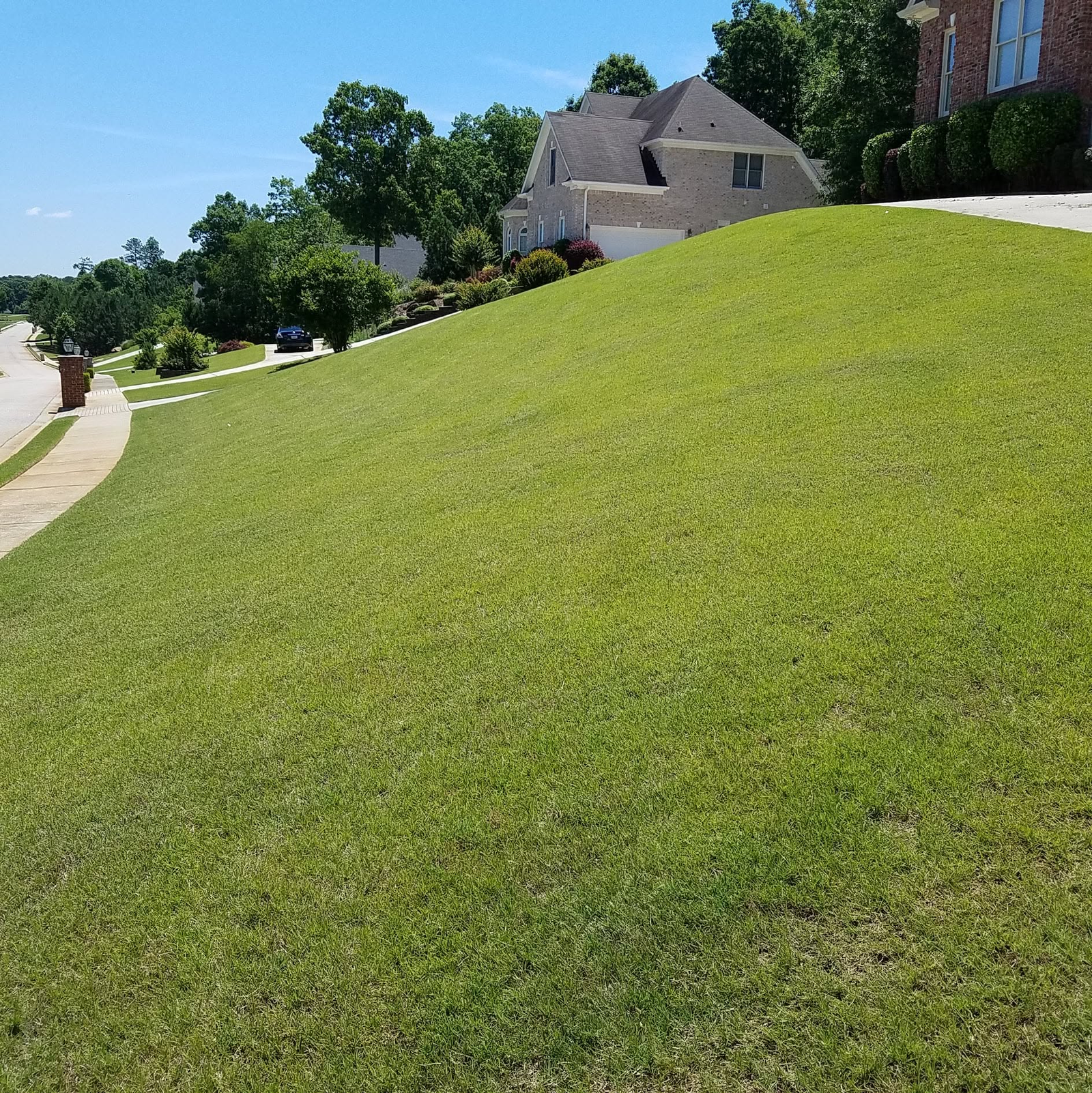 Freshly maintained green lawn in a residential neighborhood